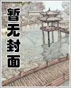 雪域往事小说讲了什么